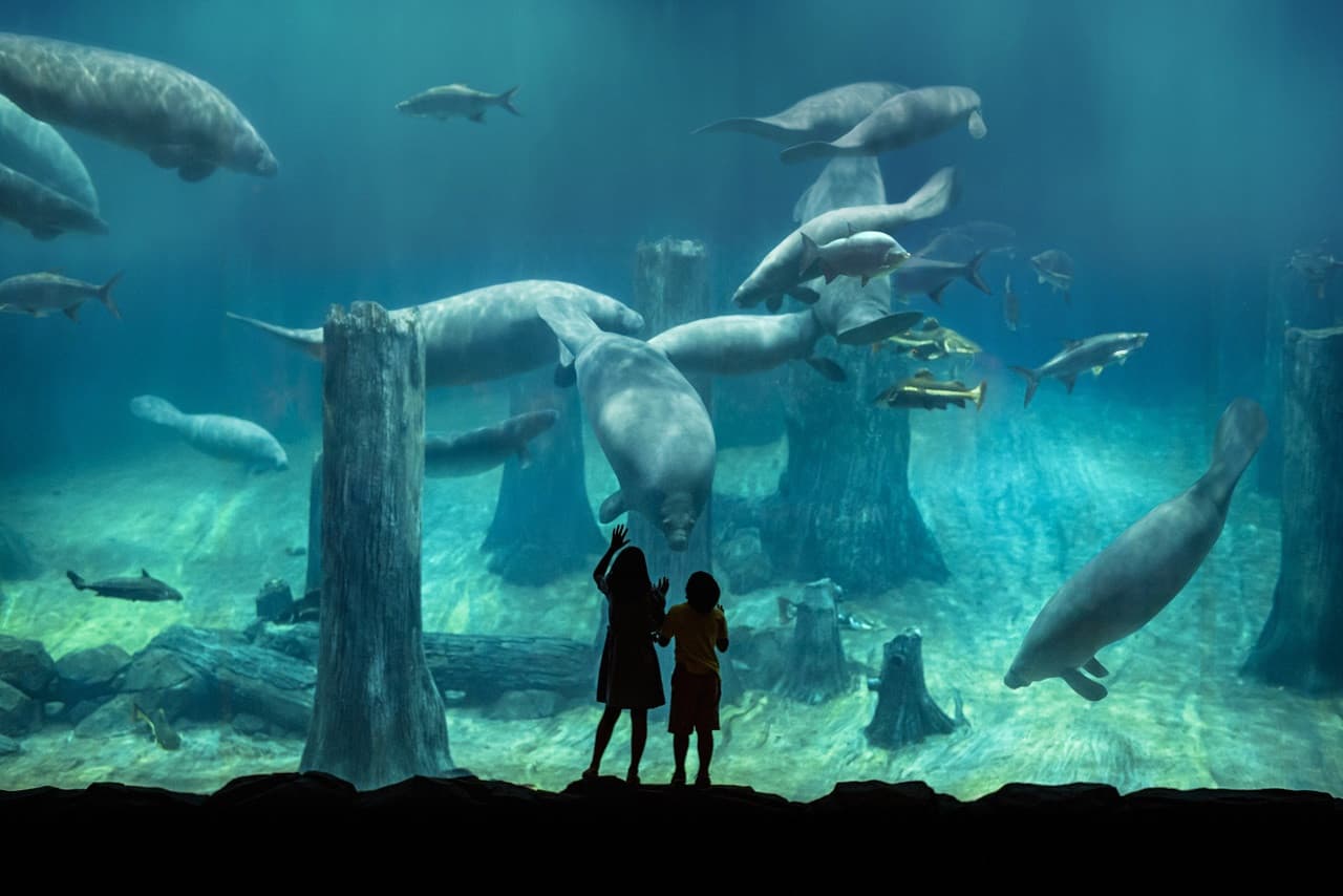 5-in-1 Day Pass: Night Safari + Singapore Zoo + Bird Paradise + River Wonders + Rainforest Adventure - image 15