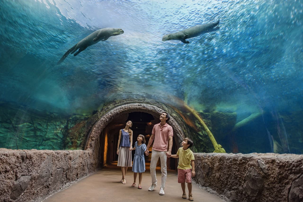 5-in-1 Day Pass: Night Safari + Singapore Zoo + Bird Paradise + River Wonders + Rainforest Adventure - image 10
